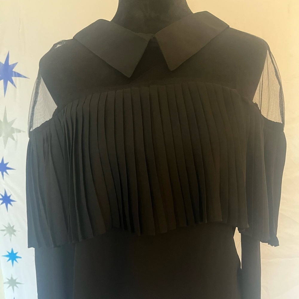 Women’s size medium, long sleeve, sheer and pleated‎ blouse.